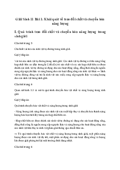 Bài 1: Khái quát về trao đổi chất và chuyển hóa năng lượng | Giải Sinh 11 Cánh diều