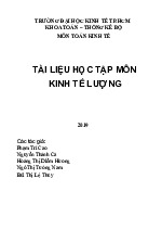 Tài liệu học tập môn Kinh tế lượng | Đại học Kinh tế Thành phố Hồ Chí Minh