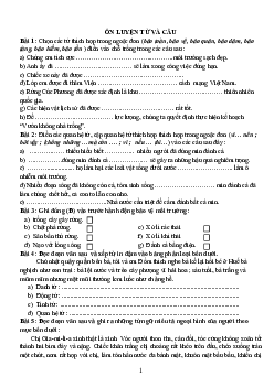 Bài tập ôn thi vào lớp 6 môn Tiếng Việt năm 2022 - 2023