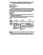 Chiến lược STDP cho sản phẩm Cocoon 200ml chăm sóc da tự nhiên