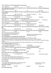Lý thuyết cơ bản - Môn Thị trường và các định chế tài chính - Đại Học Kinh Tế - Đại học Đà Nẵng