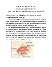 Bài Giảng Chảy Máu Mũi - Chuyên Khoa Định Hướng môn Y khoa | Trường Đại Học Tây Nguyên