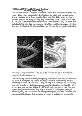 HẬU QUẢ CỦA CHẤT ĐỘC MÀU DA CAM - Đề cương môn lịch sử Đảng –Trường Đại học Hoa Sen