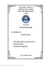 Tiểu luận ống hút cỏ bàng môn Tinh thần khởi nghiệp - Trường Đại học Văn Hiến.