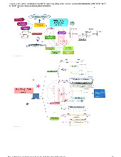Sơ đồ tóm tắt lý thuyết môn Nguyên lý thống kê  | Trường Đại học Kinh tế Quốc dân