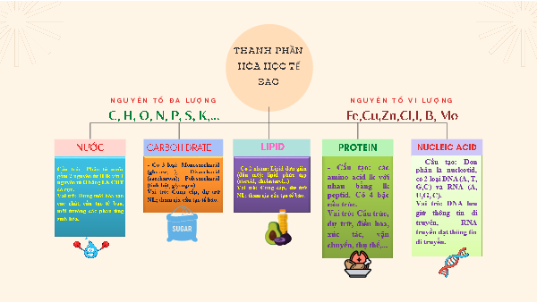 Ôn tập chương I | Bài giảng PowerPoint môn Sinh học 10 | Chân trời sáng tạo