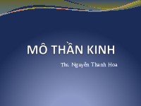 Bài giảng Mô thần kinh và hệ thần kinh | Trường Đại học Y Hà Nội