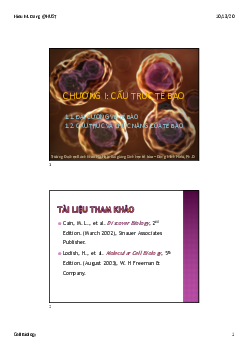 Bài giảng PPT (Power Point) học phần Sinh học tế bào | SLIDE | Đại học Bách Khoa Hà Nội