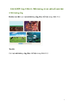 Giải KHTN 8 Bài 41: Môi trường và các nhân tố sinh thái | Kết nối tri thức