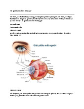 Con ngươi của mắt có tác dụng gì?