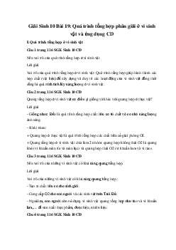 Giải Sinh 10 Bài 19: Quá trình tổng hợp phân giải ở vi sinh vật và ứng dụng | Cánh diều