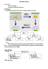Đề Cương Ôn Tập Xác Suất Thống Kê | Đại học Y Dược Thành phố Hồ Chí Minh