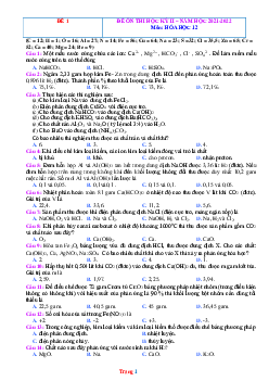 Đề ôn thi học kỳ II năm 2021-2022 môn hóa học 12 (có đáp án)