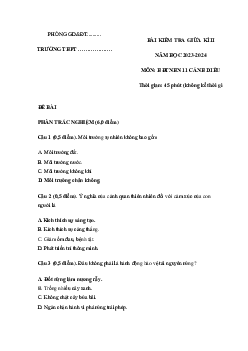 Đề thi giữa học kì 2 môn Hoạt động trải nghiệm hướng nghiệp 11 sách Cánh diều
