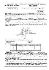 Đề thi thử tốt nghiệp THPTQG sinh học Trường chuyên Hùng Vương Tỉnh Phú Thọ năm 2024 - 2025