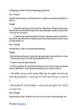 Giải Sinh học 10 Bài 11: Tổng hợp và phân giải các chất trong tế bào | Cánh diều