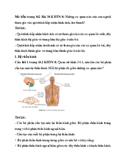 Giải Khoa học tự nhiên 8 bài 34: Hệ thần kinh và các giác quan ở người |  Cánh diều
