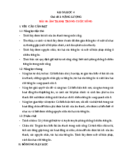 Giáo án Khoa học lớp 4 Bài 10 | Cánh diều