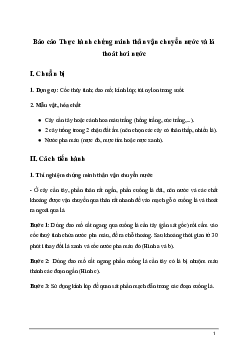 Bài 32: Thực hành chứng minh thân vận chuyển nước và lá thoát hơi nước | Giải sách Khoa học tự nhiên 7 Kết nối tri thức