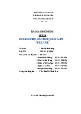 De an Mau 2 - Mẫu phân tích định lượng - Tài liệu tham khảo | Đại học Hoa Sen