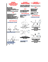 PHÂN LOẠI ALKALOID VÀ ĐƯỜNG SINH PHÁT NGUYÊN - TỔNG QUAN CHI TIẾT