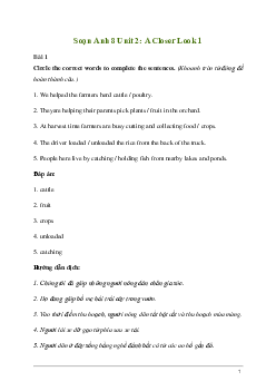 Giải Tiếng Anh 8 Unit 2: A Closer Look 1 | Kết nối tri thức