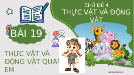 Giáo án điện tử Tự nhiên và Xã hội 2 Bài 19 Kết nối tri thức: Thực vật và động vật quanh em
