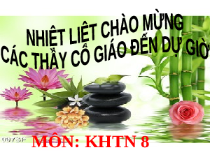 Giáo án điện tử Khoa học tự nhiên 8 Bài 13 Kết nối tri thức: Khối lượng riêng