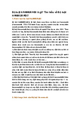 Bộ luật HAMMURABI là gì? Tìm hiểu về Bộ luật HAMMURABI?