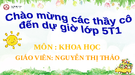 Giáo án điện tử Khoa học 4 Bài 19 Cánh diều: Đặc điểm chung của nấm ( tiết 1)