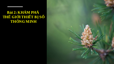 Bài 2 Chủ đề A | Bài giảng điện tử môn Tin học 11 Cánh diều