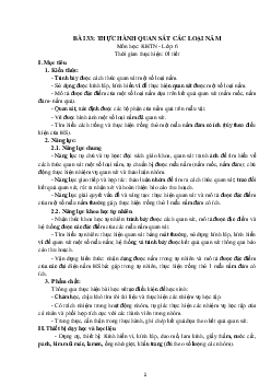 Giáo án Khoa học tự nhiên 6 sách Kết nối tri thức với cuộc sống Bài 33