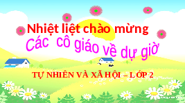 Giáo án điện tử Tự nhiên và Xã hội 2 Bài 24 Kết nối tri thức: Chăm sóc, bảo vệ cơ quan hô hấp