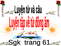Giáo án điện tử tiếng việt 5 Bài 13 Chân trời sáng tạo: Luyện tập về từ đồng âm