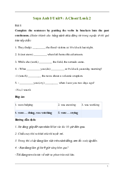 Giải Tiếng Anh 8 Unit 9: A Closer Look 2 | Kết nối tri thức