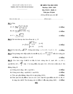 Đề thi học kì 2 Toán 11 năm 2018 – 2019 trường Nguyễn Thị Minh Khai – TP HCM