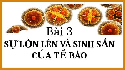 Giáo án điện tử Khoa học tự nhiên 6 bài 3 Kết nối tri thức : Lớn lên và sinh sản của tế bào