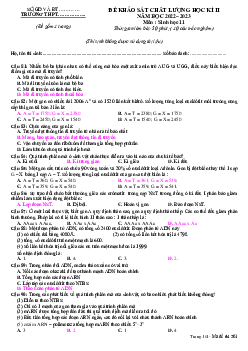 Đề thi học kì 2 môn Sinh học lớp 11 năm 2022 - 2023 | Đề 6