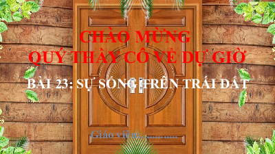 Bài 23: Sự sống trên Trái Đất | Bài giảng PowerPoint Địa Lí 6 | Kết nối tri thức