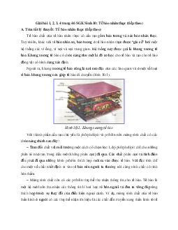 Giải bài tập trang 46 SGK Sinh học lớp 10: Tế bào nhân thực (tiếp theo)