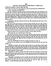 Nhà Nước và Pháp Luật Việt Nam | Kinh tế chính trị Mác - Lênin | Đại học Tôn Đức Thắng