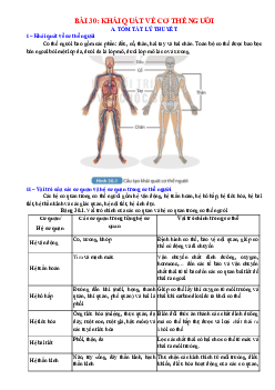 Chuyên đề KHTN 8 Kết nối tri thức bài 30 Khái quát về cơ thể người