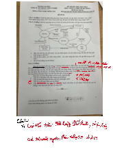 Đề thi kết thúc học phần Phân tích thiết kế hệ thống - Đề số 1 | Đại học Kinh tế kỹ thuật công nghiệp