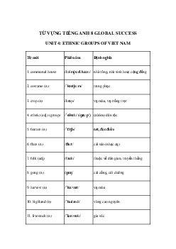 Từ vựng unit 4 lớp 8 Ethnic groups of Viet Nam Global success
