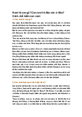 Rươi là con gì? Con rươi là đặc sản ở đâu? Cách chế biến con rươi