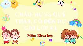 Giáo án điện tử Khoa học 4 Bài 28 Cánh diều: Phòng chống đuối nước ( tiết 1)