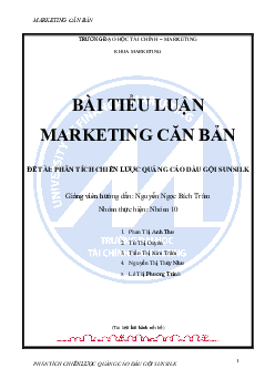 Tiểu luận "Phân tích chiến lược quảng cáo của của dầu gội Sunsilk"