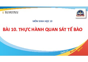 Bài 10: Thực hành quan sát tế bào | Bài giảng PowerPoint môn Sinh học 10 | Chân trời sáng tạo
