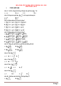 Đề cương ôn thi học kỳ II môn Toán lớp 11