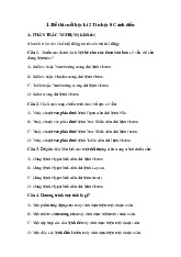 Đề thi học kỳ 2 môn Tin học lớp 8 năm học 2024 - 2025 | Bộ sách Cánh diều